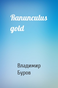 Ranunculus gold