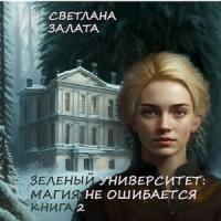 Светлана Залата - Магия не ошибается. Книга 2 (СИ)