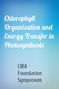 Chlorophyll Organization and Energy Transfer in Photosynthesis