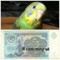Михаил Тимофеев (2) - Пять рублей и один попугай (СИ)