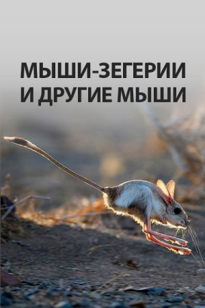 Обложка книги «Мыши-зегерии и другие мыши» — l_eonid