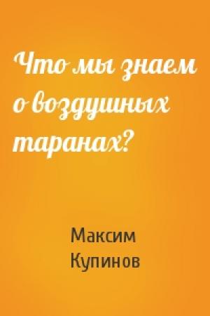 Обложка книги «Что мы знаем о воздушных таранах?» — Максим Купинов