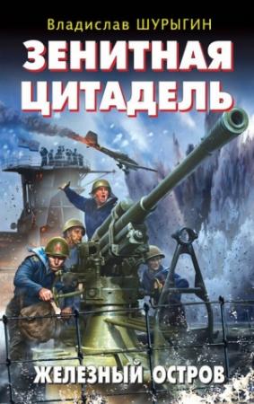 Обложка книги «Зенитная цитадель. «Не тронь меня!»» — Владислав Шурыгин