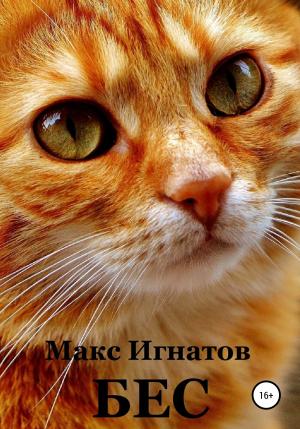 Обложка книги «Бес» — Макс Игнатов