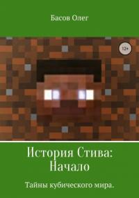 История Стива: Начало