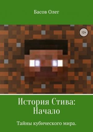 Обложка книги «История Стива: Начало» — Олег Басов