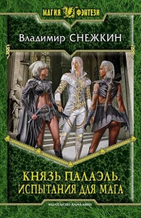 Обложка книги «Князь Палаэль – 2. Испытания для мага» — Владимир Снежкин