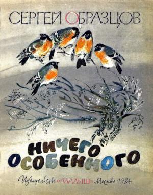 Обложка книги «Ничего особенного» — Сергей Образцов