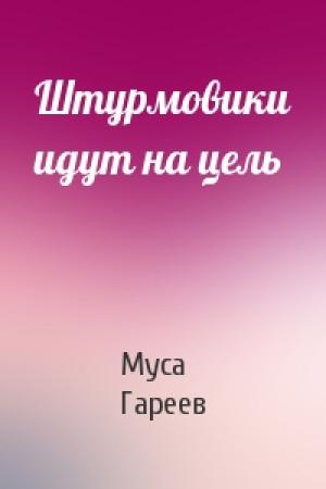 Обложка книги «Штурмовики идут на цель» — Муса Гареев