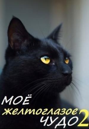 Обложка книги «Моё желтоглазое чудо. Книга 2 (СИ)» — Кира Оксана Валарика