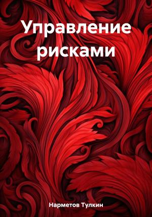 Обложка книги «Управление рисками» — Тулкин Нарметов