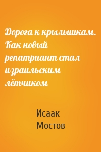 Дорога к крылышкам. Как новый репатриант стал израильским лётчиком