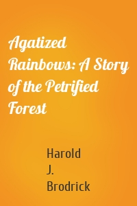 Agatized Rainbows: A Story of the Petrified Forest