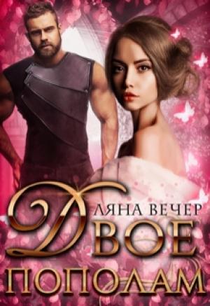 Обложка книги «Двое пополам» — Ляна Вечер