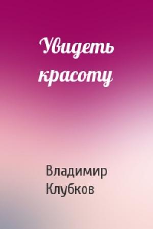 Обложка книги «Увидеть красоту» — Владимир Клубков
