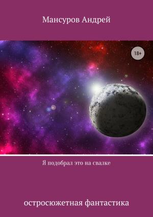 Обложка книги «Я подобрал это на свалке» — Андрей Мансуров