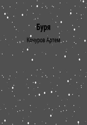 Обложка книги «Буря» — Артем Кочуров