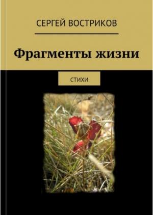 Обложка книги «Фрагменты жизни» — Сергей Востриков
