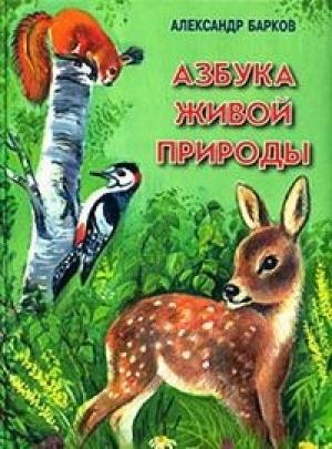 Обложка книги «Беличий порядок» — Александр Барков