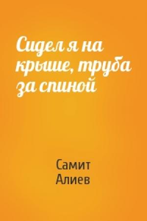 Обложка книги «Сидел я на крыше, труба за спиной» — Самит Алиев