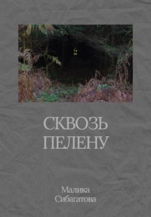 Обложка книги «Сквозь пелену» — Малика Сибагатова