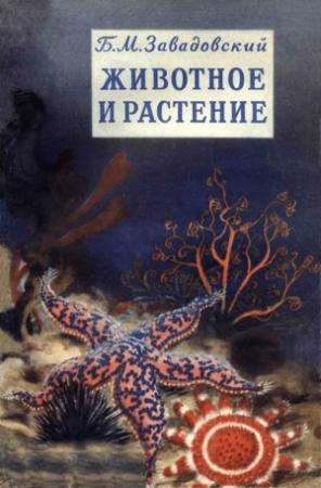 Обложка книги «Животное и растение» — Борис Завадовский