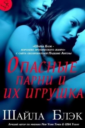 Обложка книги «Опасные парни и их игрушка» — Шелли Брэдли