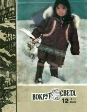 Обложка книги «Находка» — Славянский А., Славянский В.