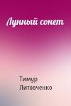 Тимур Литовченко - Лунный сонет