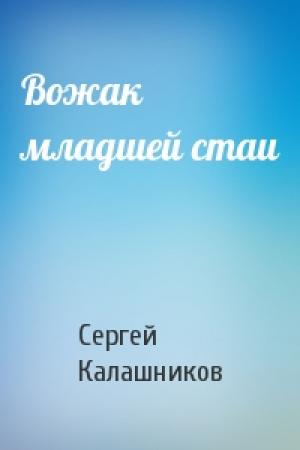 Обложка книги «Вожак младшей стаи» — Сергей Калашников