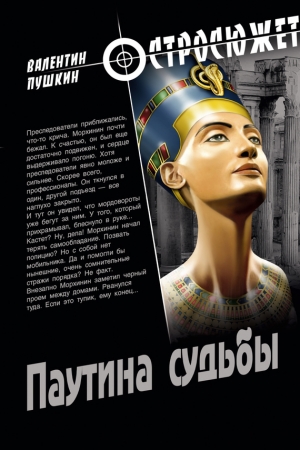 Обложка книги «Паутина судьбы» — Валентин Пушкин