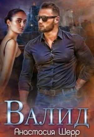 Обложка книги «Валид [полная]» — Анастасия Шерр