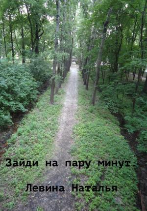 Обложка книги «Зайди на пару минут» — Наталья Левина
