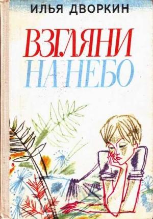 Обложка книги «Взгляни на небо» — Илья Дворкин