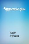 Юрий Лукшиц - Чудесные дни