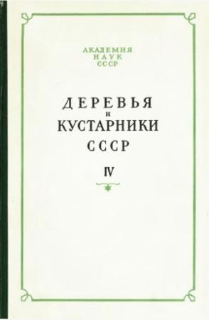 Обложка книги «Деревья и кустарники СССР. Дикорастущие, культивируемые и перспективные для интродукции» — З. Артюшенко, И. Васильев, М. Гзырян, А. Головач, В. Грубов, Б. Замятнин, О. Пидотти, Ф. Пилипенко, О. Полетико, Г. Родионенко, Ф. Русанов, С. Сааков, С. Соколов, Ал. Федоров, Н. Шипчинский, В. Шульгина, Б. Шухободский