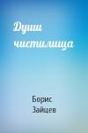 Борис Зайцев - Души чистилища