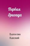 Валентин Кавский - Первая бригада