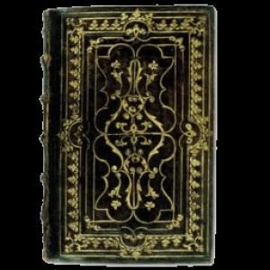Обложка книги «Политические поэзы» — Игорь Южанин
