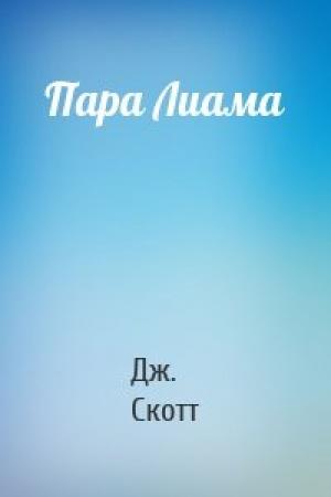 Обложка книги «Пара Лиама» — Дж. Скотт