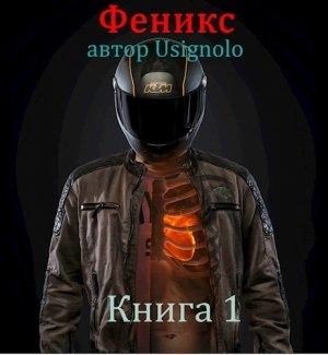 Обложка книги «Феникс»