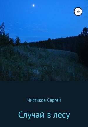 Обложка книги «Случай в лесу» — Сергей Чистиков