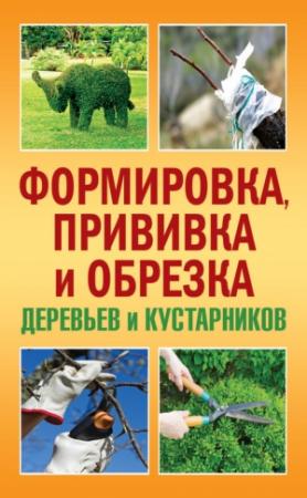 Обложка книги «Формировка, прививка и обрезка деревьев и кустарников» — Сергей Макеев