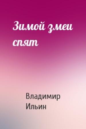 Обложка книги «Зимой змеи спят» — Владимир Ильин