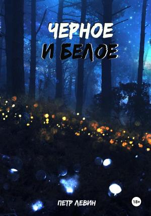 Обложка книги «Черное и белое» — Петр Левин