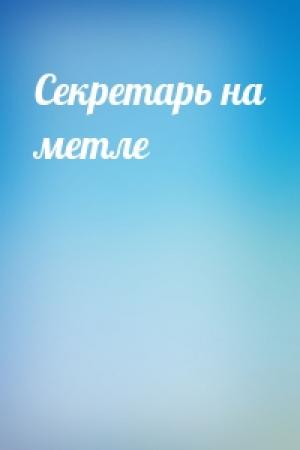 Обложка книги «Секретарь на метле»