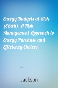 Energy Budgets at Risk (EBaR). A Risk Management Approach to Energy Purchase and Efficiency Choices