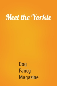 Meet the Yorkie