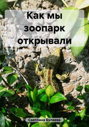 Обложка книги «Как мы зоопарк открывали» — Светлана Булаева