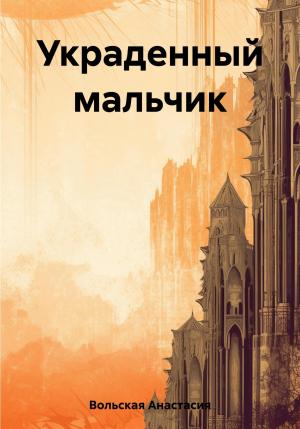 Обложка книги «Украденный мальчик» — Анастасия Вольская
